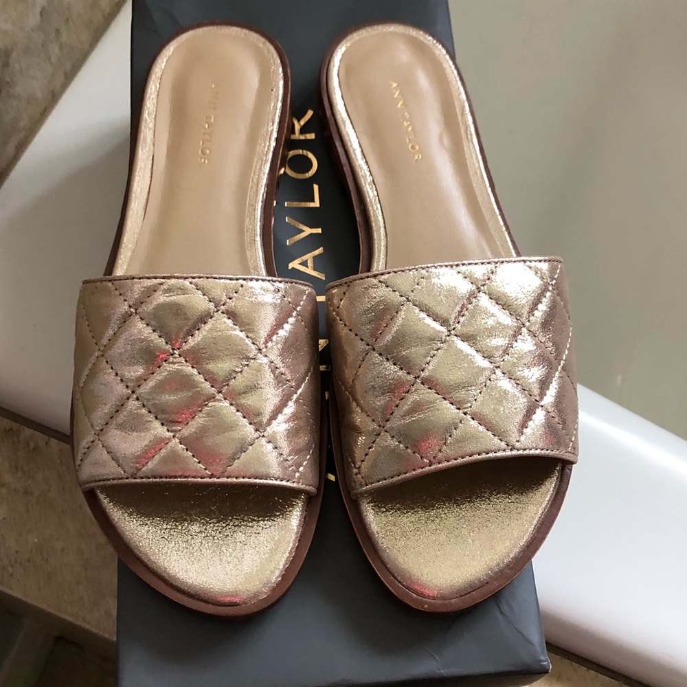 Ann Taylor Sandals NWT